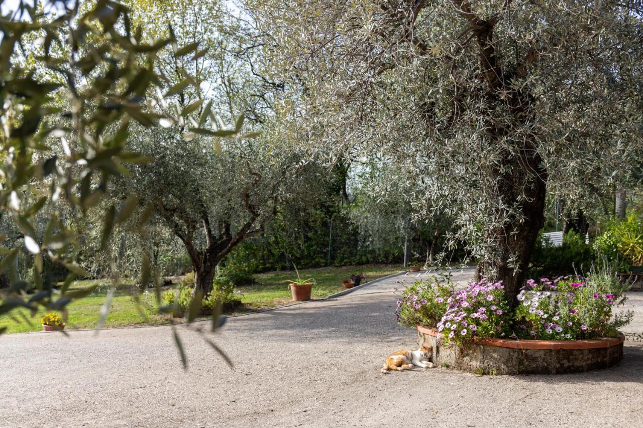 La Tana delle Stelle B&B di Charme e Relax Fara in Sabina Esterno foto