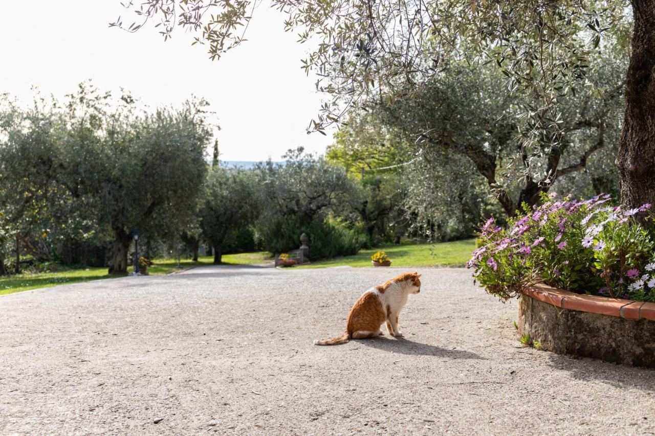 La Tana delle Stelle B&B di Charme e Relax Fara in Sabina Esterno foto