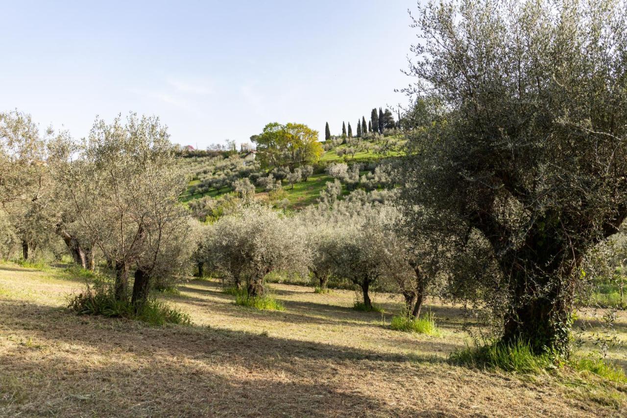 La Tana delle Stelle B&B di Charme e Relax Fara in Sabina Esterno foto